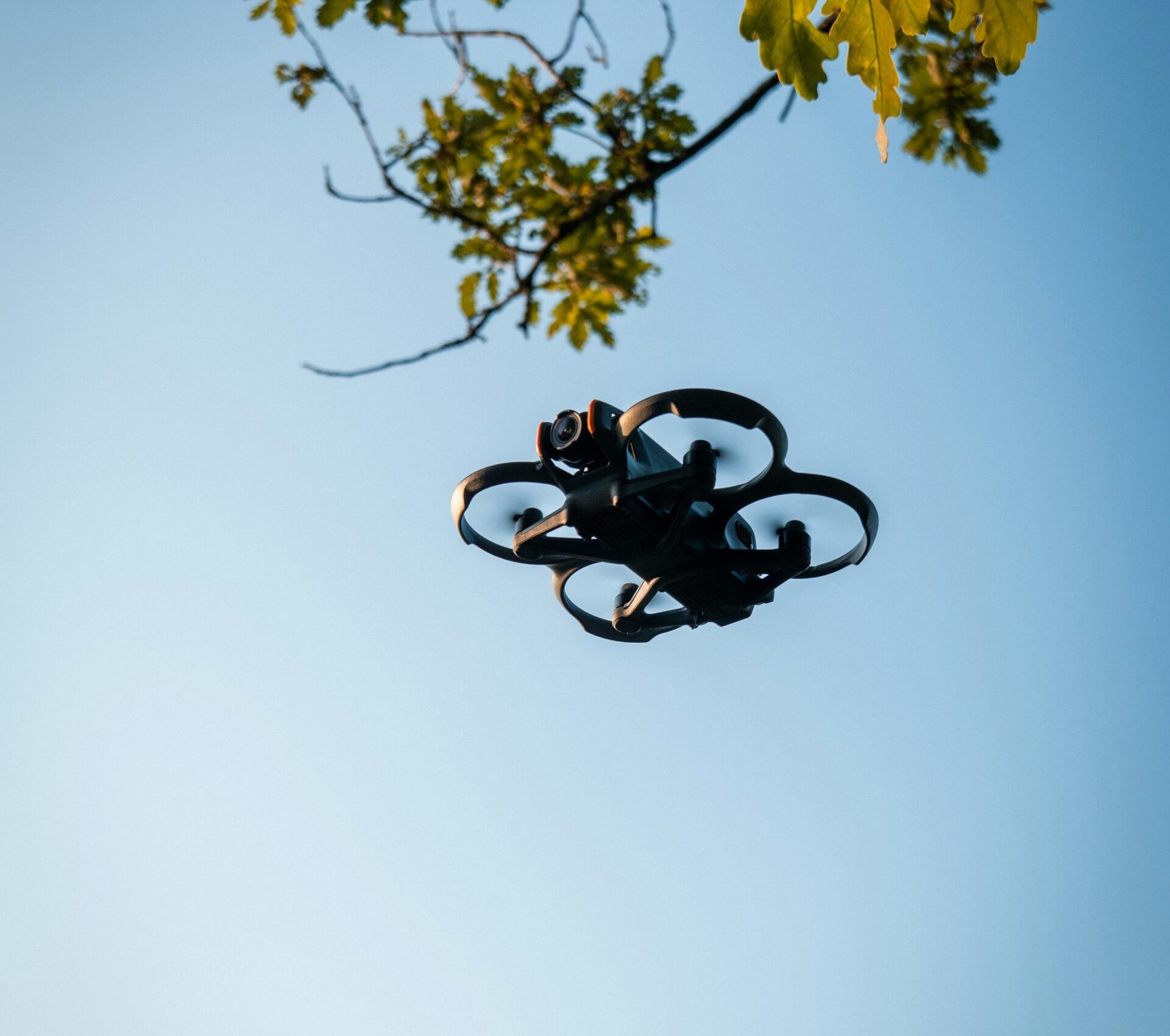 andri-aeschlimann-6G0QHoGS_kQ-unsplash